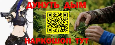 стафф Кандалакша