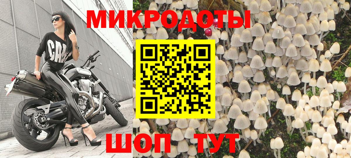 Псилоцибиновые грибы Cubensis  купить   Миасс 