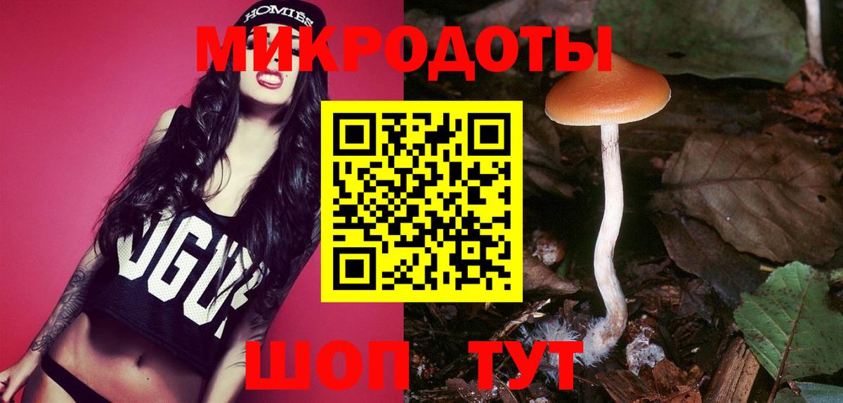 Псилоцибиновые грибы Psilocybine cubensis Миасс