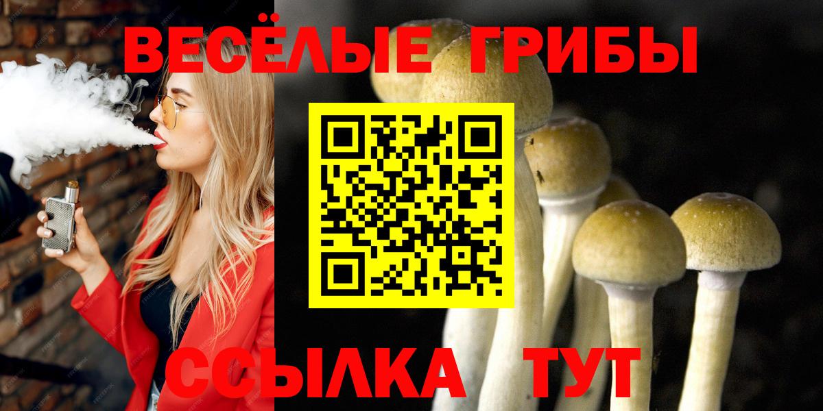 Псилоцибиновые грибы прущие грибы Миасс